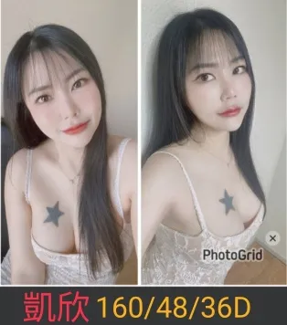 南投定點茶-凱欣