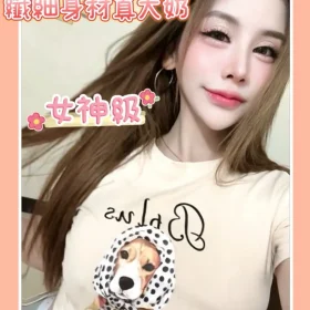 台南定點茶-宋奈2