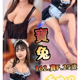 新北定點茶-寶兔