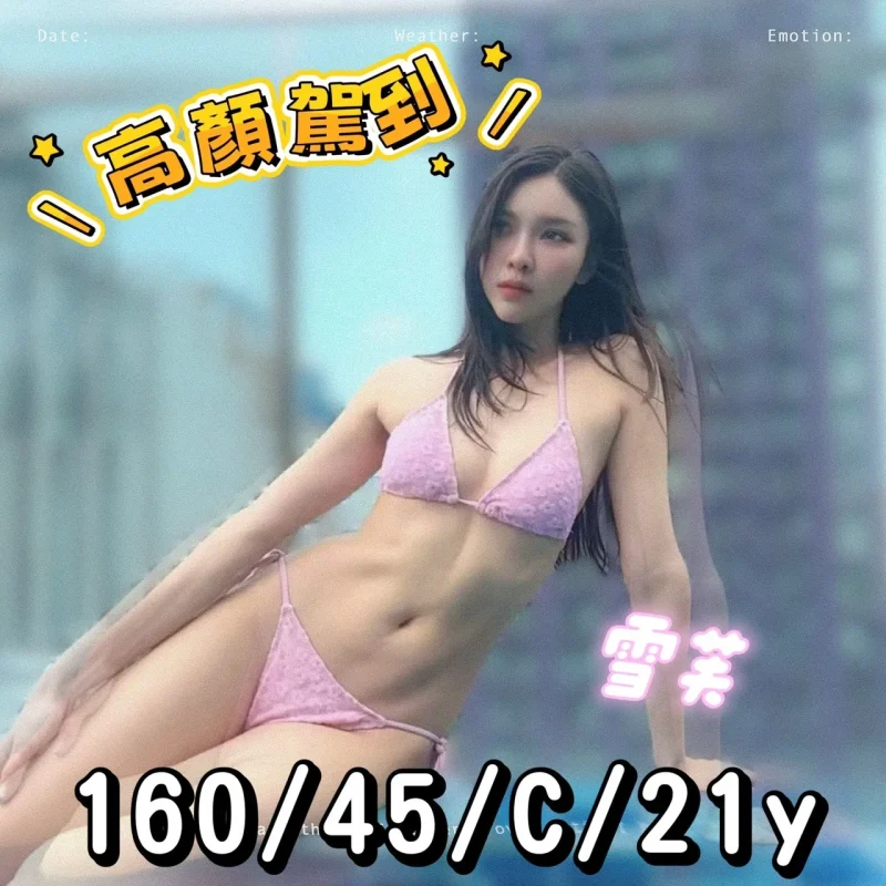 新北定點茶-雪芙