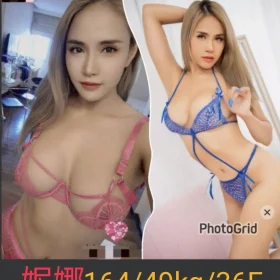 南投定點茶-妮娜