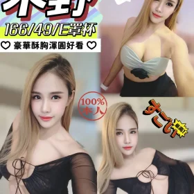 南投定點茶-木野