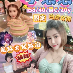 台北定點茶-小浪浪