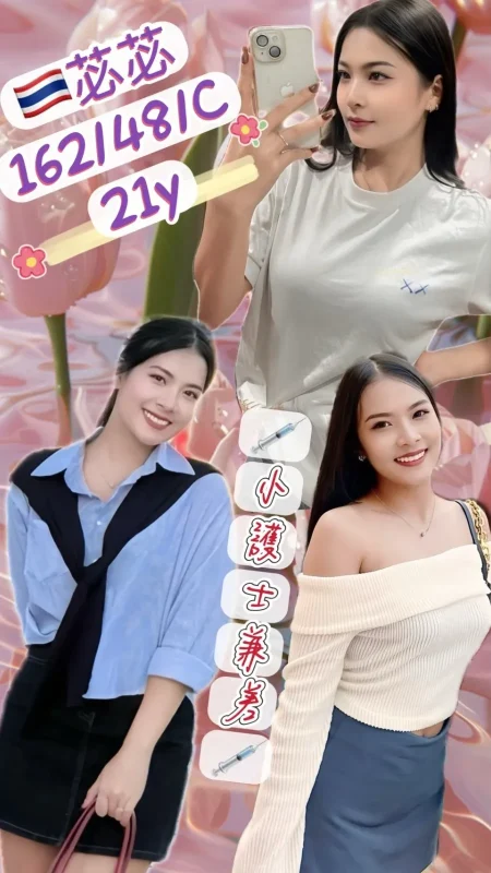 新北定點茶-苾苾