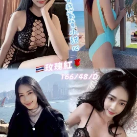 桃園定點茶-玫瑰紅