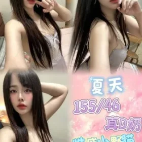 新北定點茶-夏天