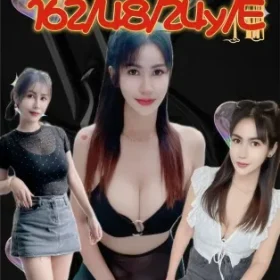 新北定點茶-發發