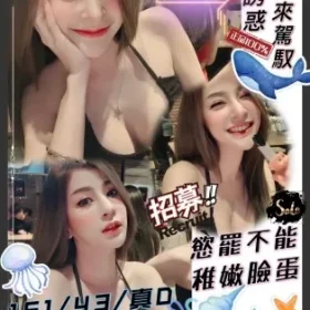 新竹定點茶-海豚