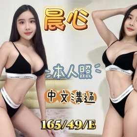 新北定點茶-晨心