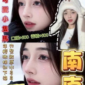 桃園定點茶-南南