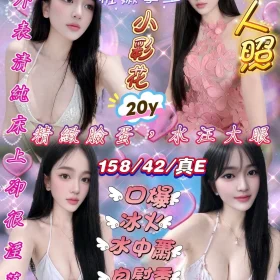 新竹定點茶-小彩花
