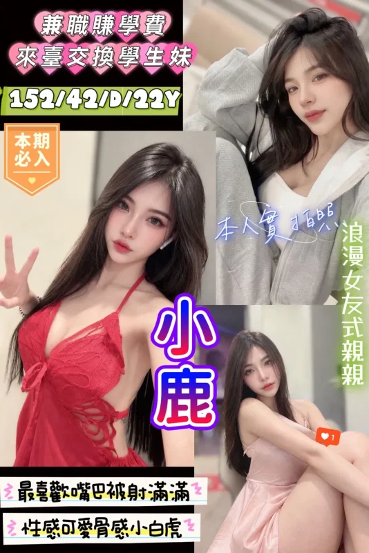 新竹定點茶-小鹿