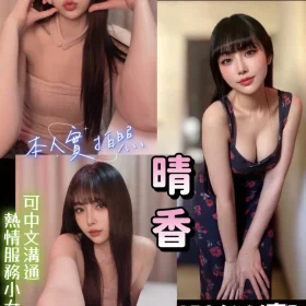 新竹定點茶-晴香